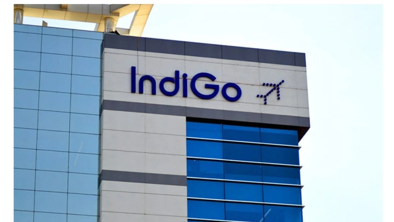Indigo