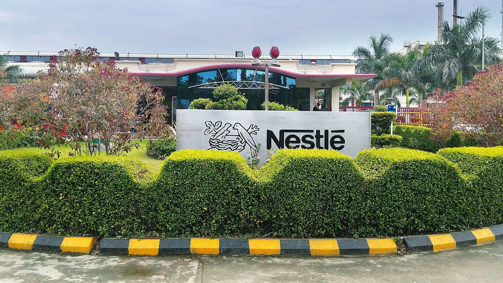 Nestle hybrid Internship For AI job possibilities
