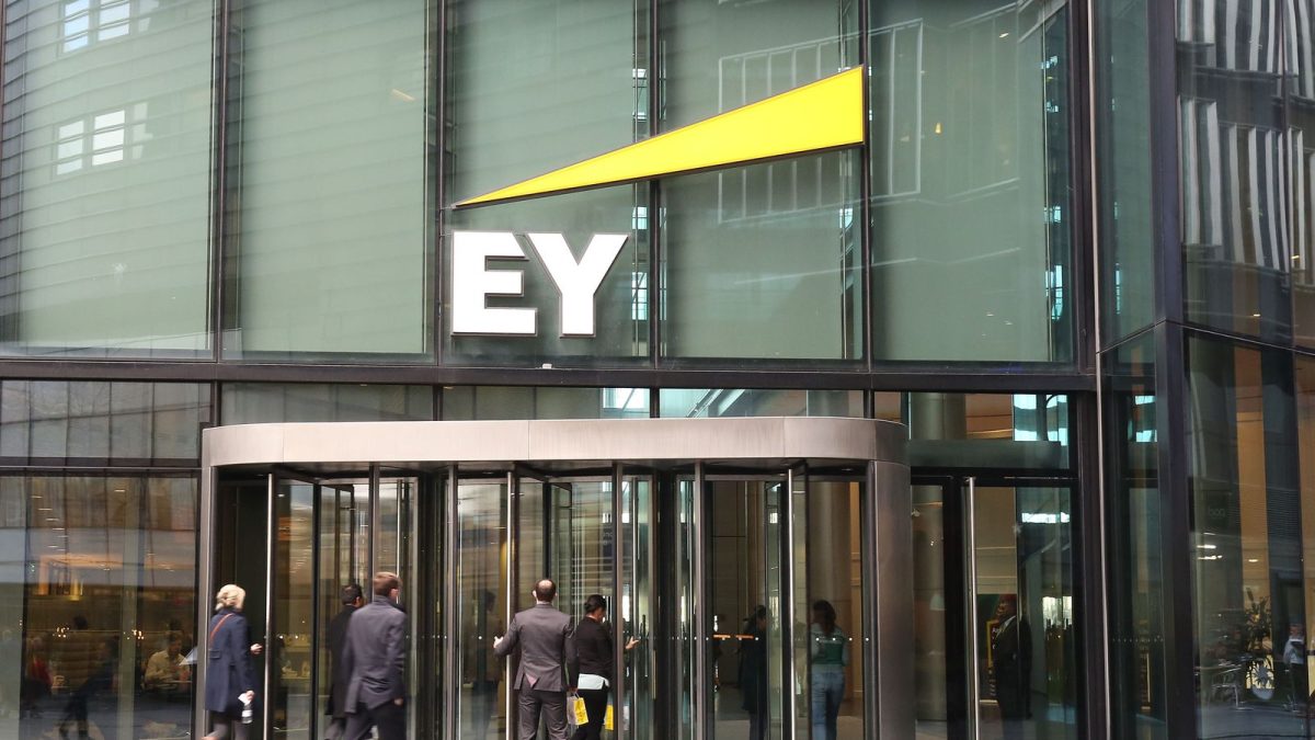 Ey Student and Entry level Internship Program