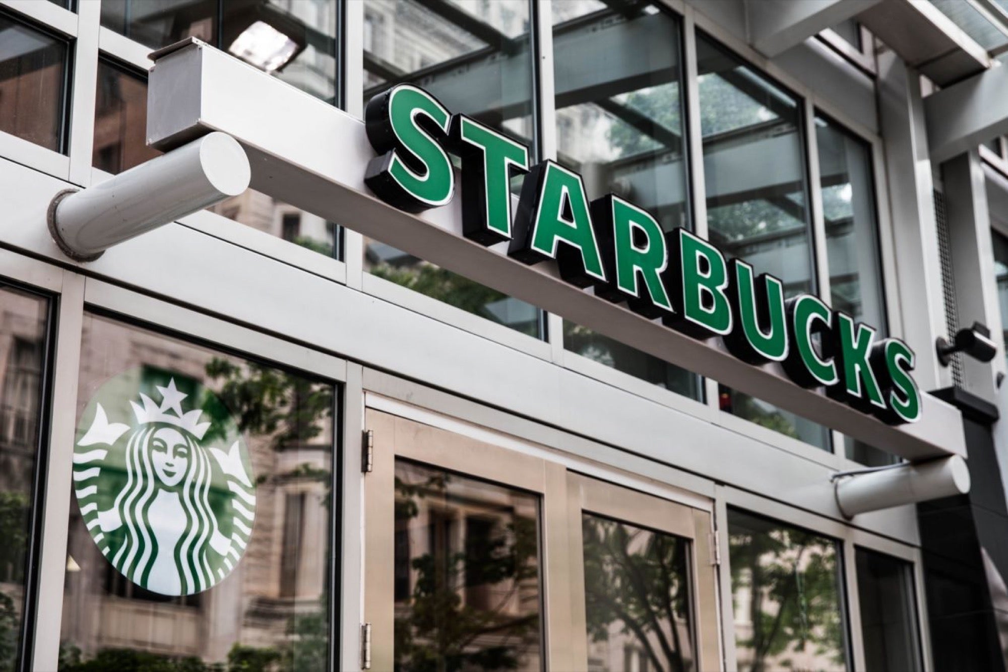 Starbucks Apprentice 2025